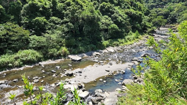 塔曼山，拔刀爾山，美鹿山南峰，內洞林道，大刀山，啦卡登山步道，桃園枕頭山，阿姆坪生態公園，大溪坪古道1795436