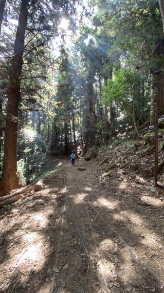 苗栗加里山1491240