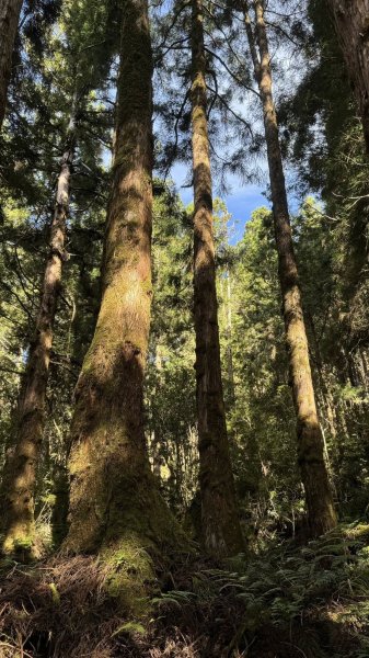 20250913小百岳三星山2885243