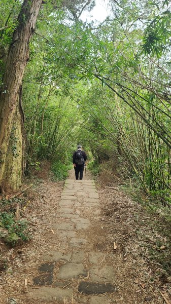 2026-0116 大屯三山_貴子坑_北投2984768