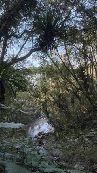 20260117三峽雲森瀑布2990323