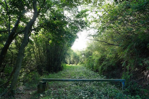 新竹 竹東 柯子湖山、尖山2613908