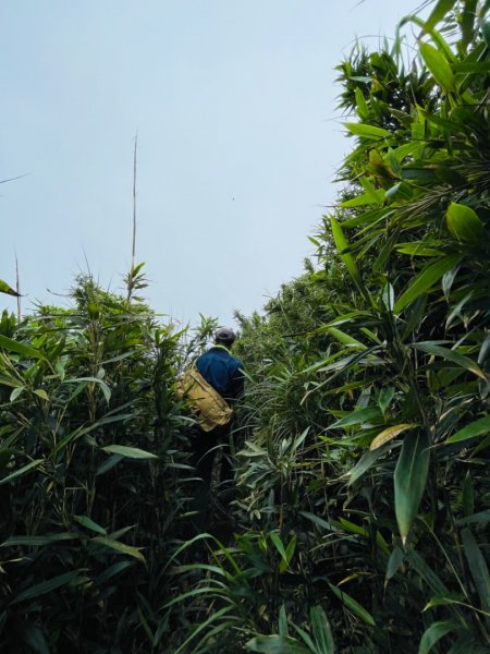 淡蘭中路（暖暖車站-十分車站）1685537