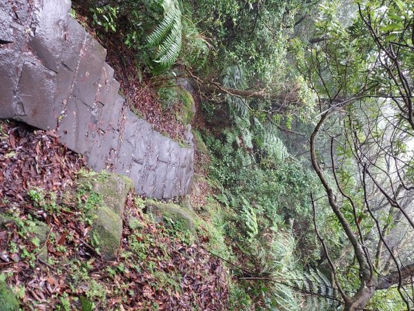 小油坑～七星山～冷水坑～擎天崗1940742