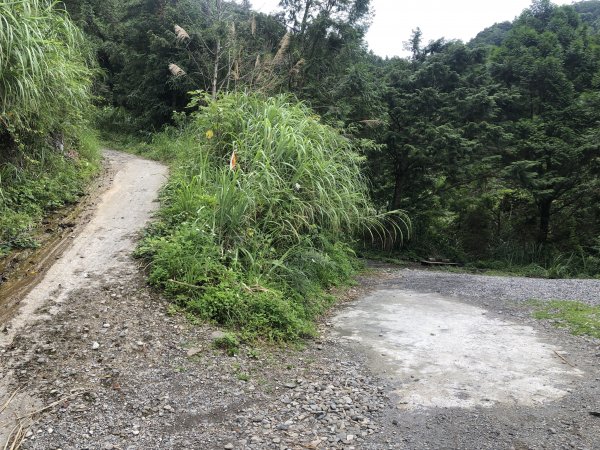 宜蘭 四季 加羅湖633827