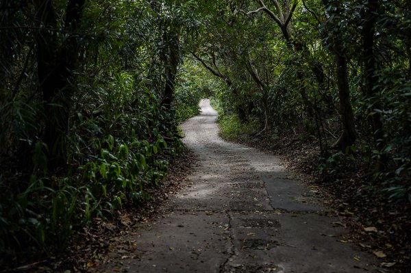 劍潭山小百岳｜老地方觀機平台2886017