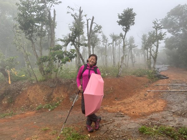 田中森林公園步道、赤水崎公園步道、花牆、龍過脈古蹟2750875