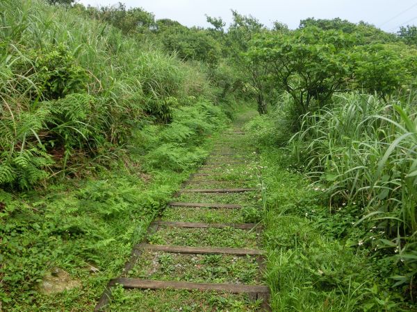 猴硐．小粗坑古道．九份126449