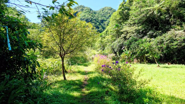 中坑古道東山西山2896461