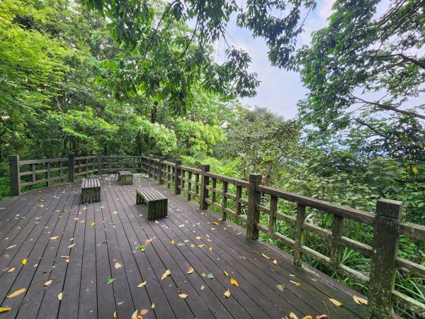 20250427大山背山田寮山毬子山騎龍山2933633