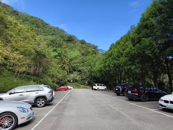 [百山百鳥尋旅-07/15] 2025_0831 八仙山國家森林遊樂區步道群2875958