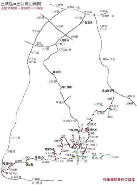 王公坑山血藤花2746255