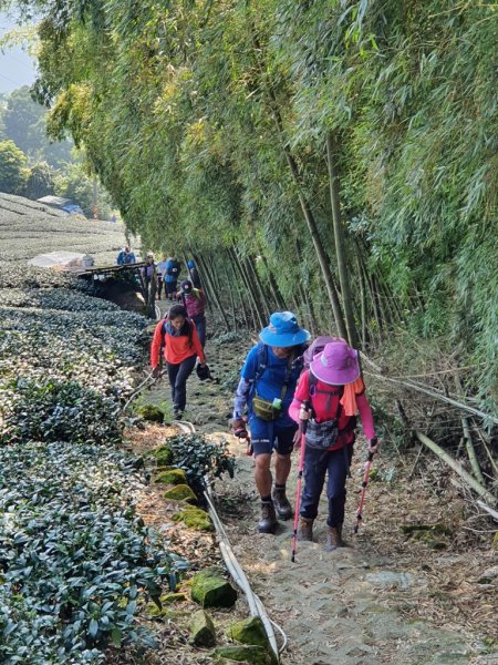 【雲嘉】後棟山連走大二尖山1478450