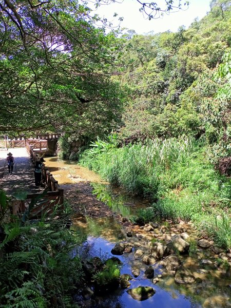 捷運大湖公園站→大溝溪→圓覺寺步道→鯉魚山小人國步道→鯉魚山東峰→鯉魚山→圓覺瀑布→圓覺寺步道→折返1819689