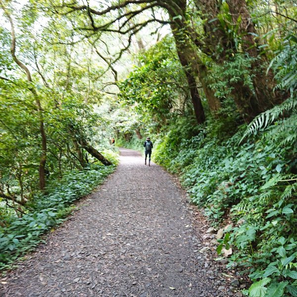 聖母登山步道561404