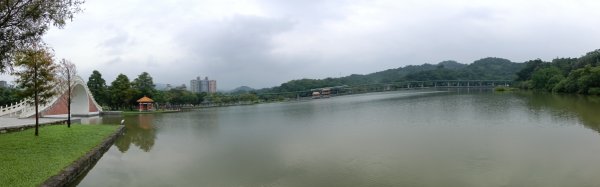 內湖區大湖公園+白鷺鷥山2931124