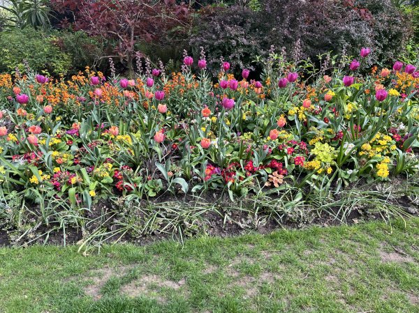 2025_0427 倫敦馬拉松順遊西歐 D9a(起點和終點)2794430