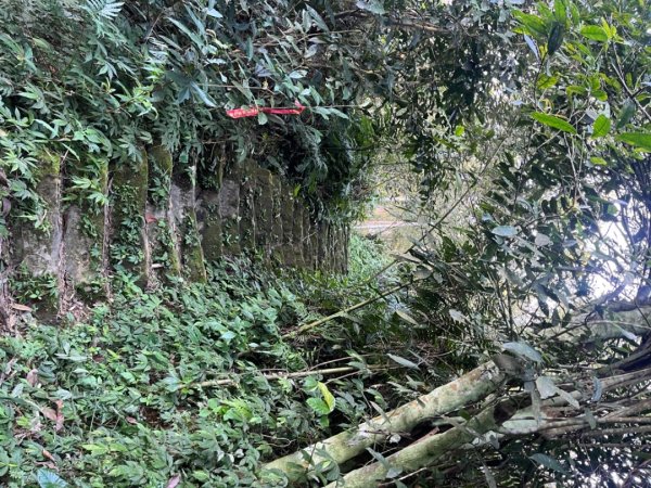 雲嘉五連峰2735896