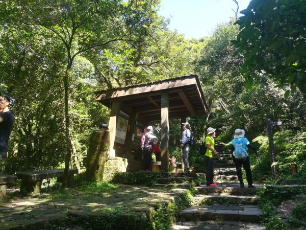 冷苗步道-七星公園-夢幻湖-冷水坑O形668576