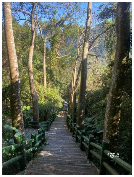 鳳凰谷鳥園步道2695876
