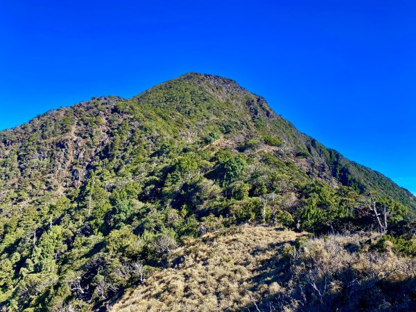 啟動高山度假模式~金牌三小隊之馬博橫斷8日2964989