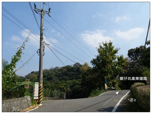 東南坑山(台中-太平)1279607