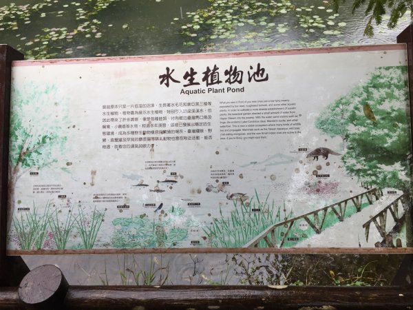福山植物園1056513
