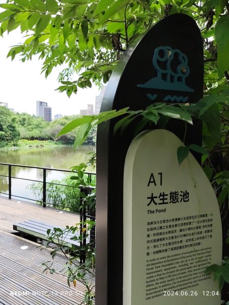 大安森林公園【走路趣尋寶】【臺北健走趣】2536152