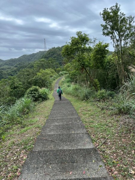 嶺頭觀日步道，西九分坑山O走封面