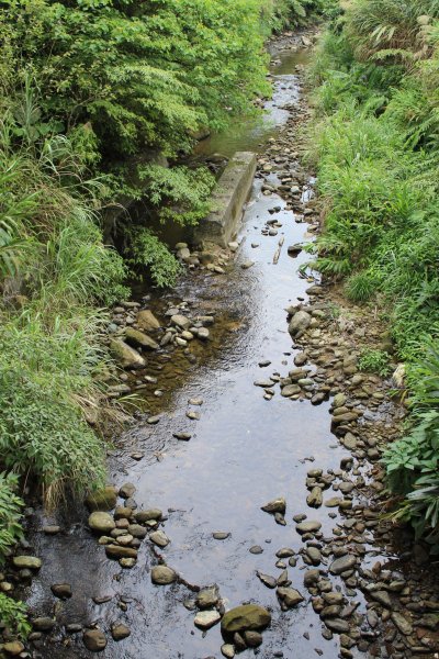 淡蘭中路平湖西步道1002824