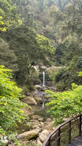 雲嘉連峰/青年嶺/水社寮2750442