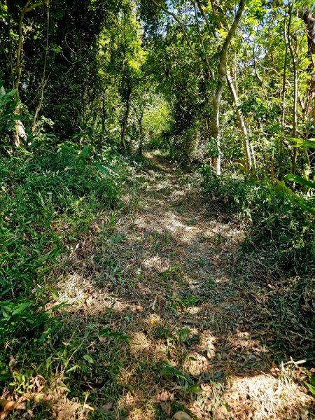 2025臺北大縱走第六段：中華科技大學至捷運麟光站2916597