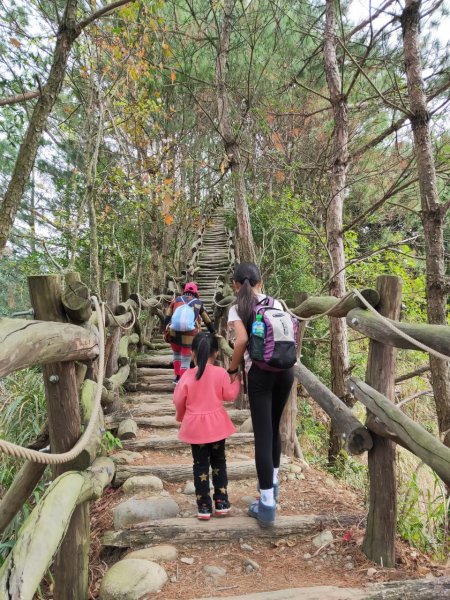 小百岳(41)-頭嵙山(四號步道)-20200209~【2020全家總動員~28分之06】1716153