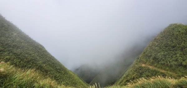 2021-09/19-宜蘭礁溪- 抹茶山三角崙山1466427