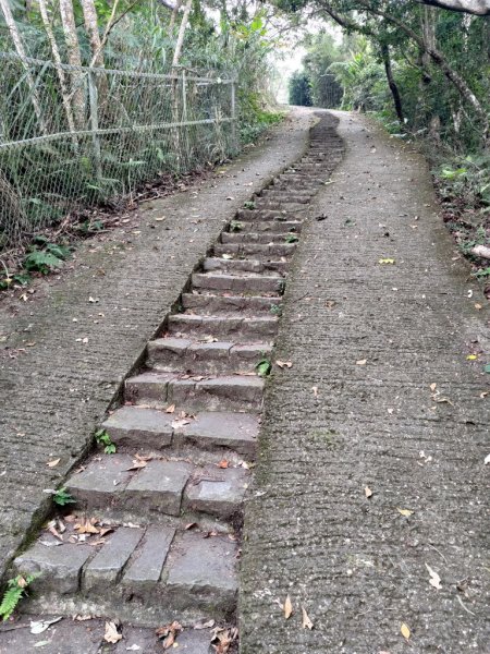 【新竹縣橫山鄉】大崎棟步道2833218