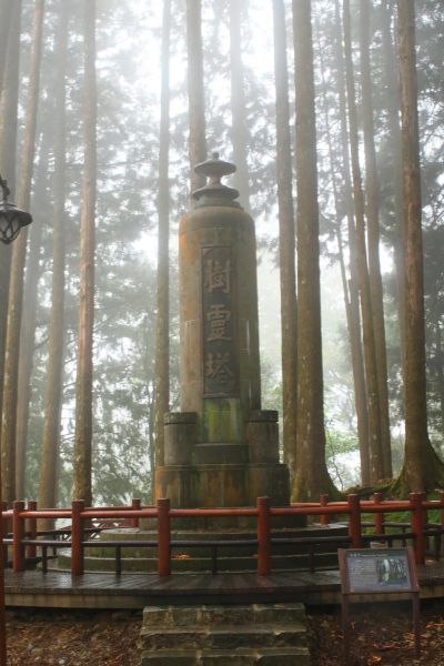 阿里山巨木群棧道雨中記行201825