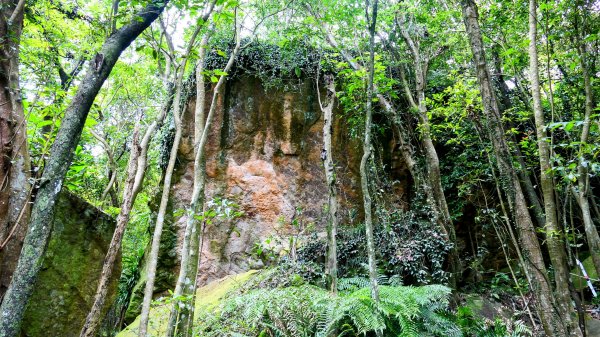 大邱田石門洞2856205