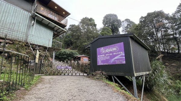 米堤香蕉園-鳳凰山-鳳凰南峰（台寅山） -金柑樹山-金柑樹山西北峰-領頭山東峰-忘憂森林2551823