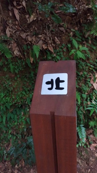 忠義山貴子坑步道510002