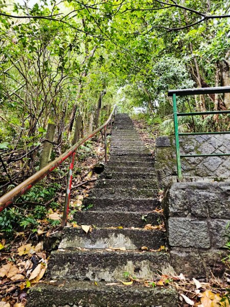 2025臺北大縱走第七段：世界山莊至飛龍步道政大後山2923994