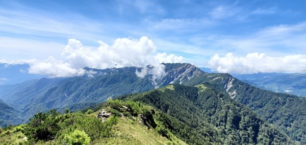 閂山鈴鳴-比人高的箭竹心累的鈴鳴1451548