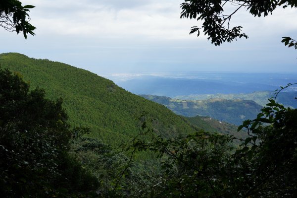 新竹 尖石 高台山、島田山2327044