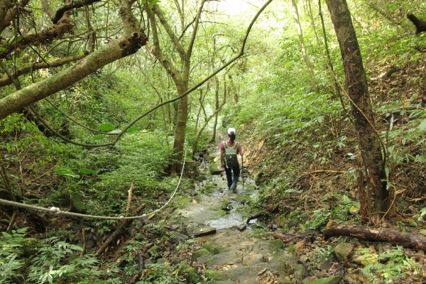 淡蘭古道北路坐山望海1253872