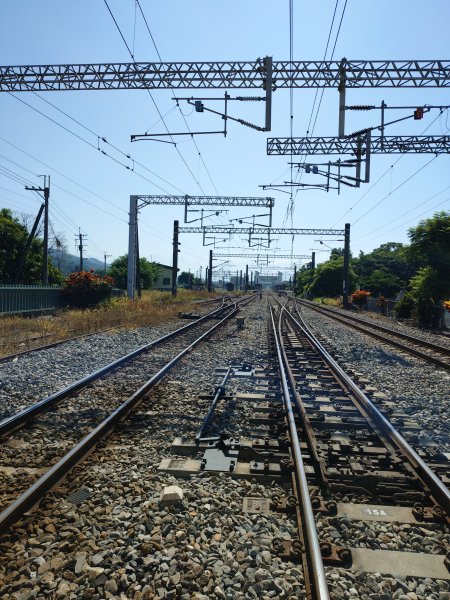 松柏嶺O形2908118