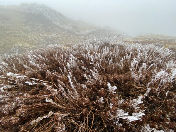 20200208合歡主峰2769532