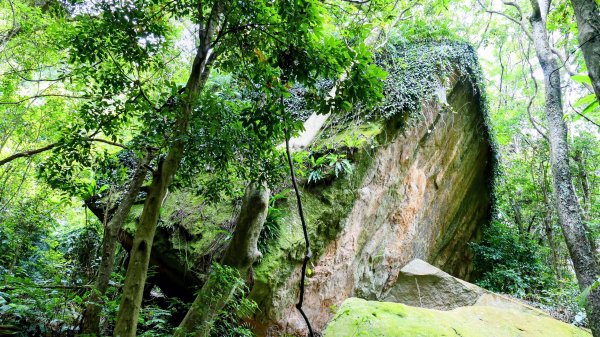 大邱田石門洞2856208