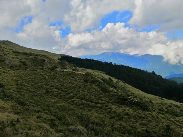 最親民的百岳。編號70百岳~石門山749669