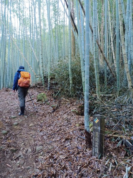 【雲林古坑】舒適宜人。 石壁山連走好望角嘉南雲峰2755254
