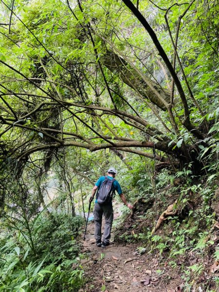 淡蘭中路（暖暖車站-十分車站）1685519
