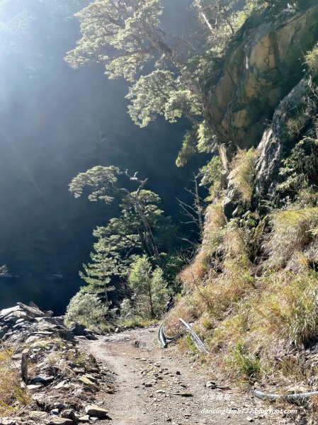【南投】合歡溪步道：遠得要命的櫻花鉤吻鮭2912235